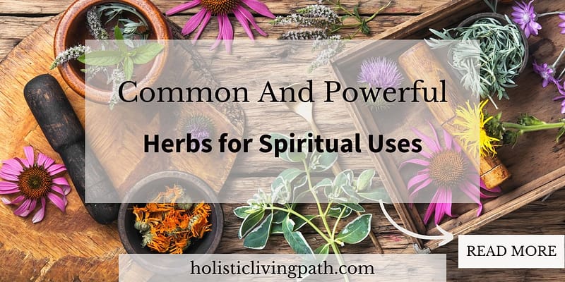 Common and powerful herbs for spiritual uses featured images.