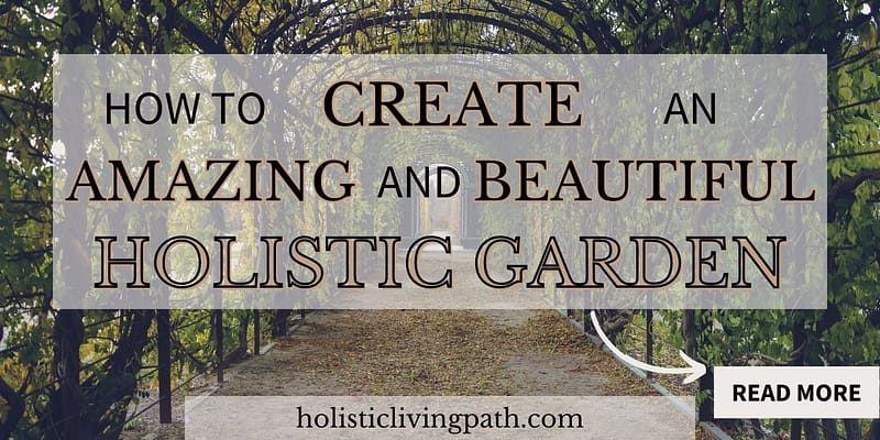 Featured image for How to Create a Holistic Garden.