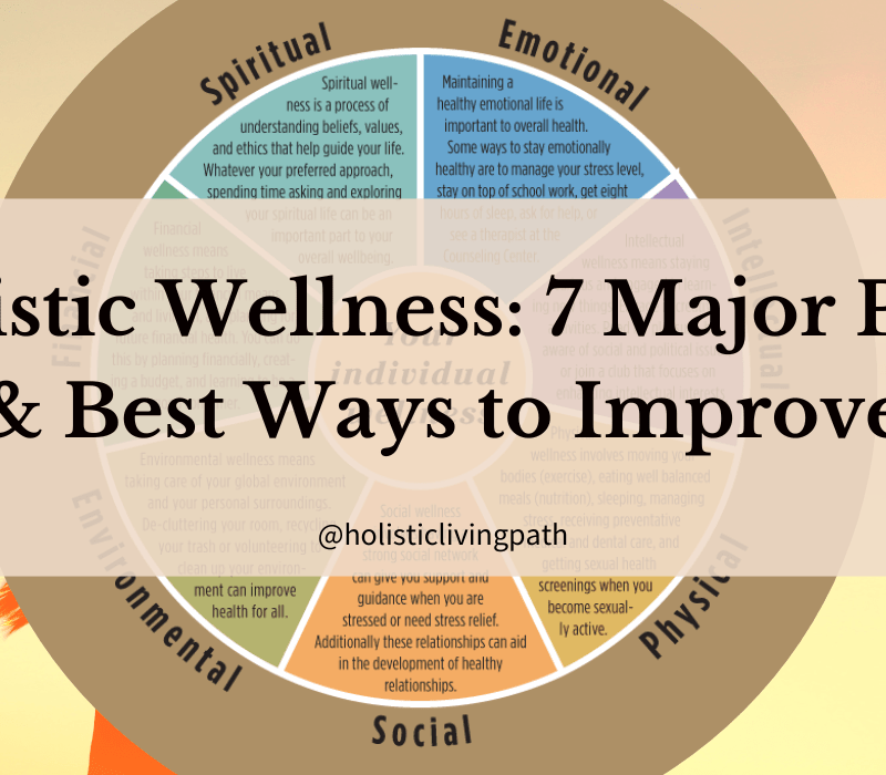 Holistic Wellness: 7 Major Parts & Best Ways to Improve