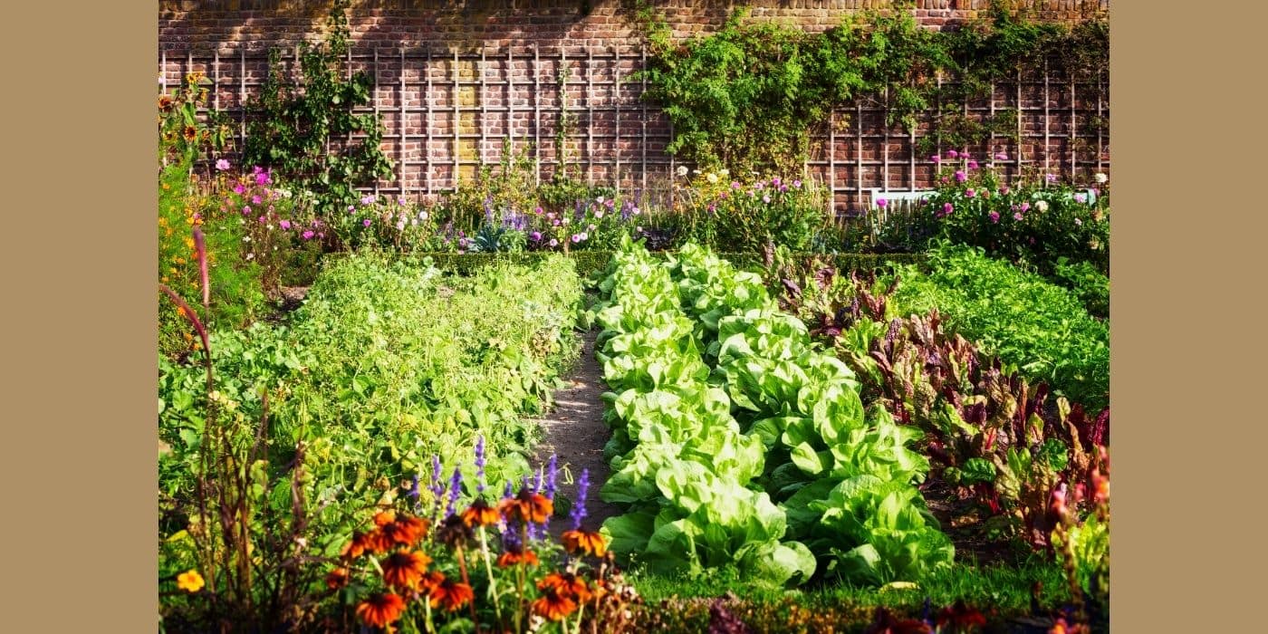 Add a variety of plants to Create a Holistic Garden.