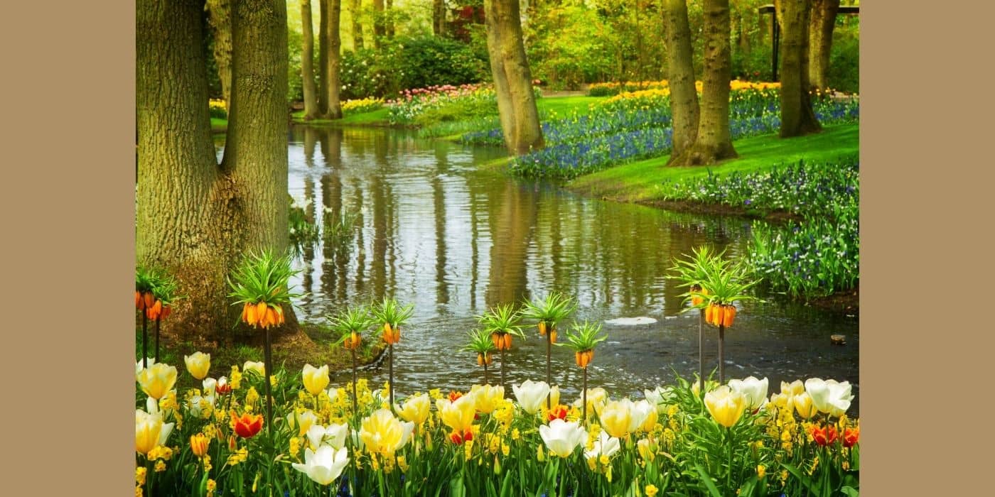 Add bodies of water to Create a Holistic Garden.
