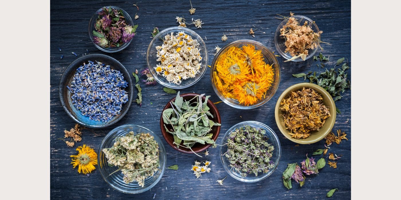 Common and powerful herbs for spiritual uses.