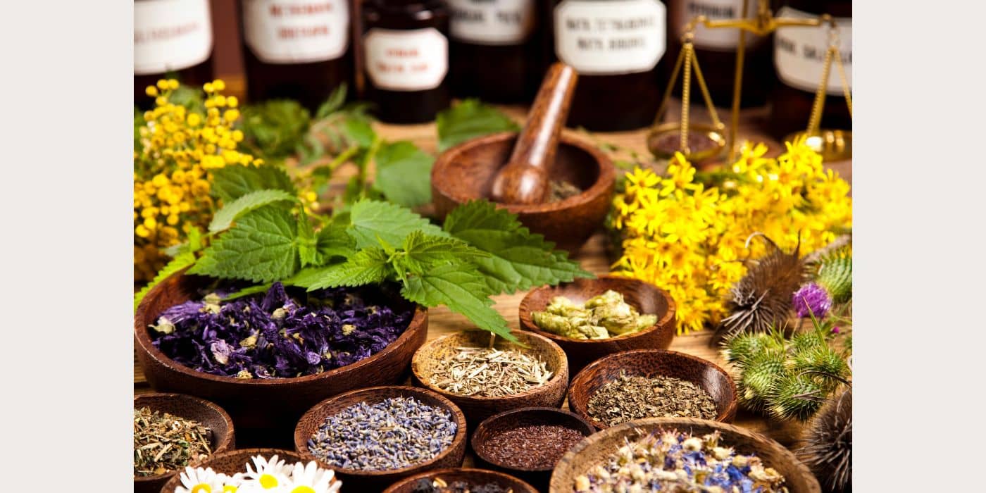 Common and powerful herbs for spiritual uses.
