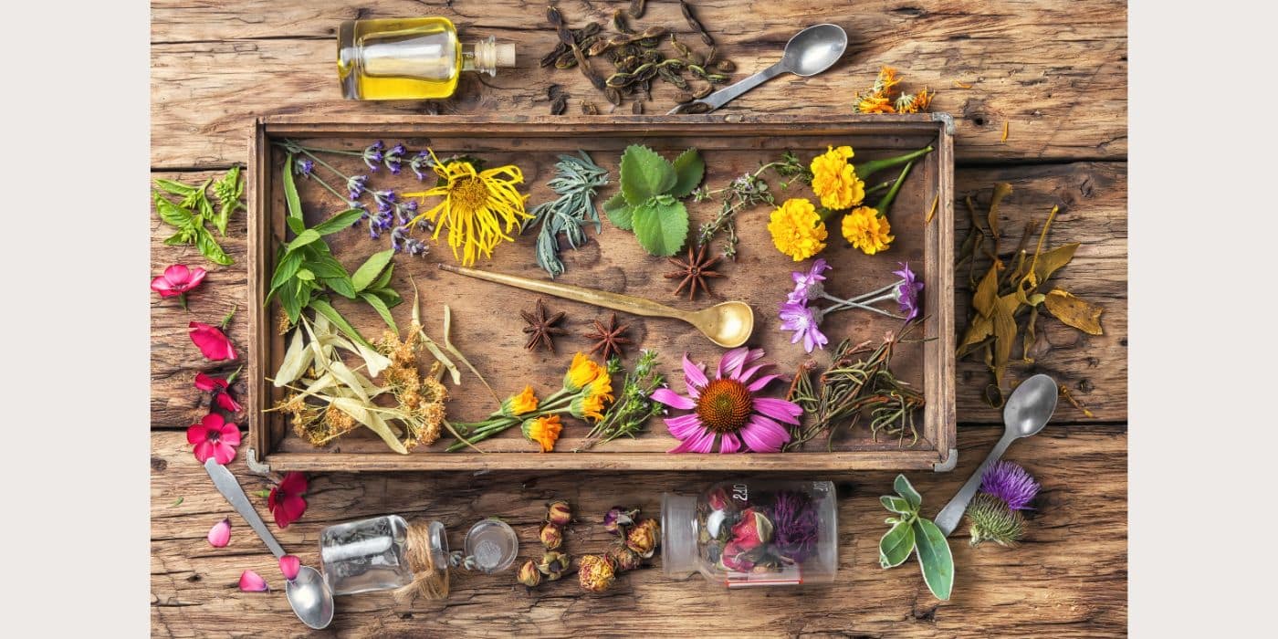 Common and powerful herbs for spiritual uses.