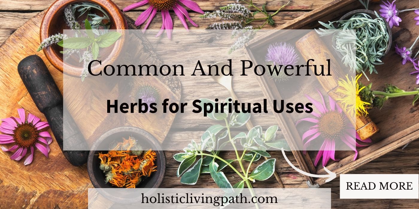 Common and Powerful Herbs for Spiritual Uses