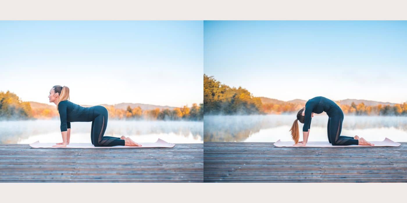 Woman in cat/cow yoga pose.