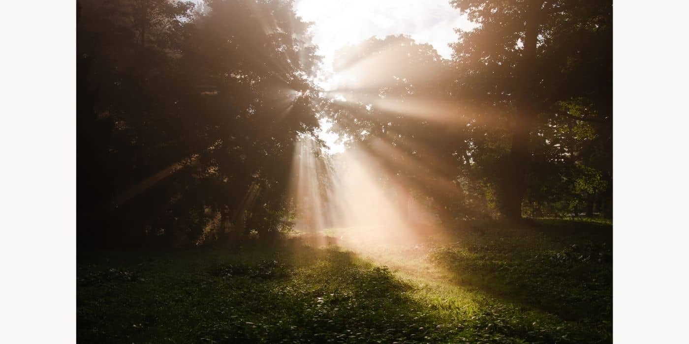 Create a healthy and holistic morning routine