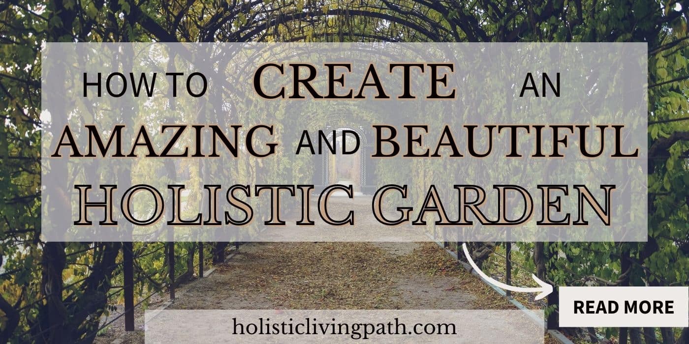 How to Create an Amazing and Beautiful Holistic Garden 
